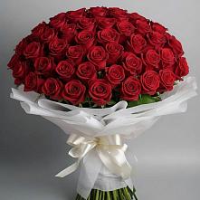 101 Красная роза Блэк Мэджик в Батырево Букет 101 Красная роза Блэк Мэджик в Батырево