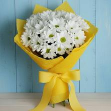 Букет Застенчивые лепестки в Батырево Букет цветов из:  Хризантемы в Батырево