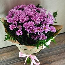 Букет цветов из:  Хризантемы #REPLACE_PRED# Батырево