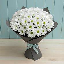 Букет белые хризантемы в Батырево Букет цветов из:  Хризантемы в Батырево