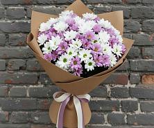 Букет цветов из:  Хризантемы в Батырево