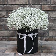 Композиция коробка гипсофил в Батырево Цветочная композиция из Гипсофила в шляпной коробке в Батырево