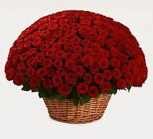 Премиум букет из: Розы в Батырево